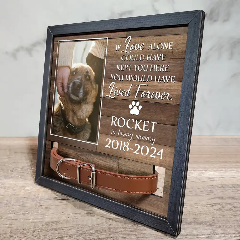 Custom Photo My Hardest Goodbye For Dog Lovers And Cat Lovers - Personalized Pet Loss Sign, Collar Frame