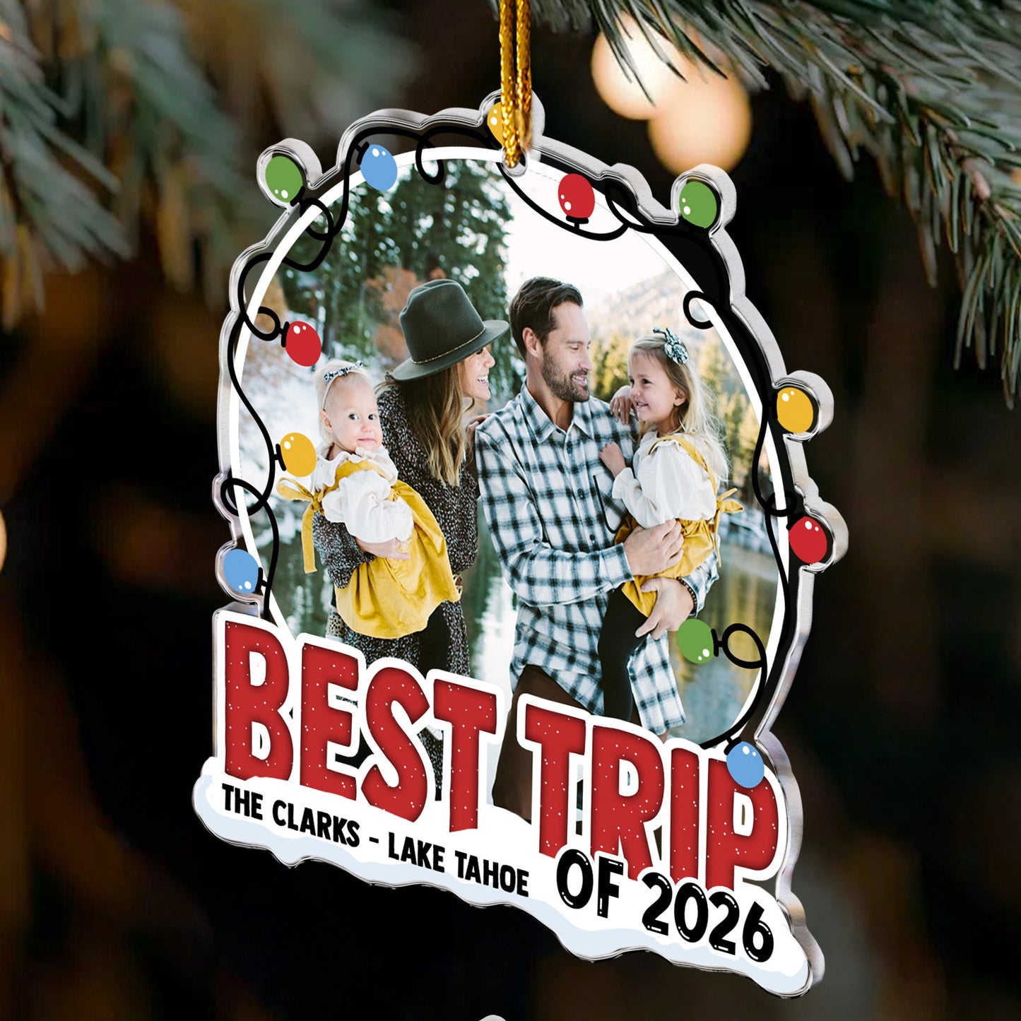 Best Trip Of 2026 - Personalized Acrylic Photo Ornament