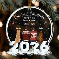 Acrylic Ornament